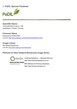 1. Padil Species Factsheet Scientific Name: Common Name Image Library Partners for New Zealand Biosecurity Image Library