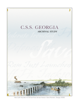 CSS Georgia 2007 New South Assoc Rpt.Pdf