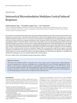Intracortical Microstimulation Modulates Cortical Induced Responses