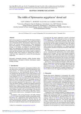 The Riddle of Spinosaurus Aegyptiacus' Dorsal Sail