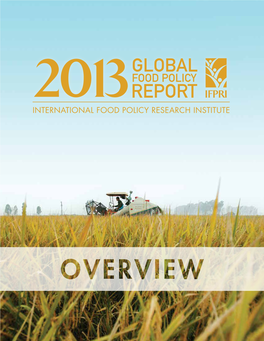 2013 Global Food Policy Report Overview