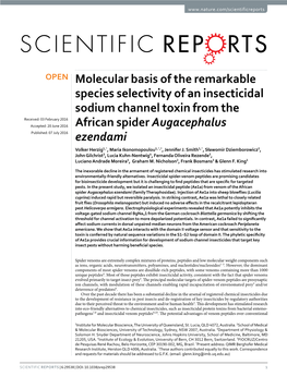 Molecular Basis of the Remarkable Species Selectivity of an Insecticidal
