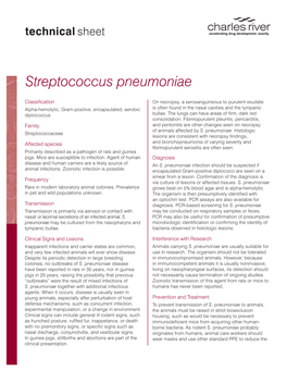 Streptococcus Pneumoniae Technical Sheet