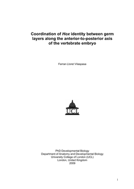 Coordination of Hox Identity Between Germ Layers Along the Anterior-To-Posterior Axis of the Vertebrate Embryo