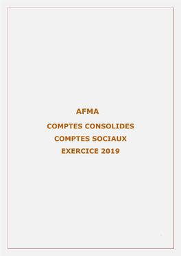 Comptes Consolides Comptes Sociaux Exercice 2019
