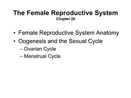 Female Reproductive System Chapter 28