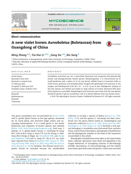 A New Violet Brown Aureoboletus (Boletaceae) from Guangdong of China