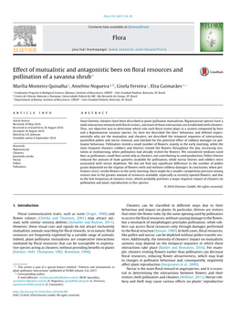 Effect of Mutualistic and Antagonistic Bees on Floral Resources and Pollination of a Savanna Shrub