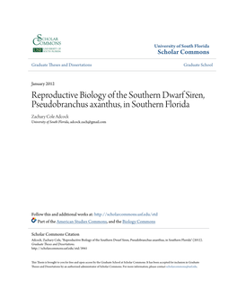 Reproductive Biology of the Southern Dwarf Siren, Pseudobranchus Axanthus, in Southern Florida Zachary Cole Adcock University of South Florida, Adcock.Zach@Gmail.Com