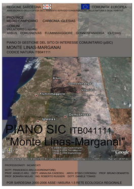 Psic M.Te Linas-Marganai