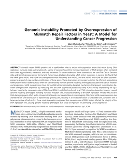 Genomic Instability Promoted by Overexpression of Mismatch Repair Factors in Yeast: a Model for Understanding Cancer Progression