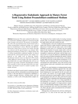 A Regenerative Endodontic Approach in Mature Ferret Teeth Using