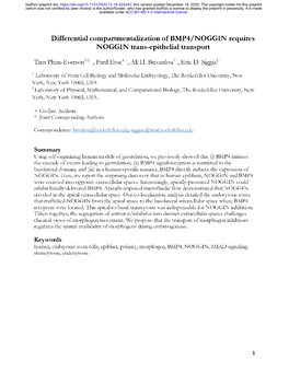 Differential Compartmentalization of BMP4/NOGGIN Requires NOGGIN Trans-Epithelial Transport