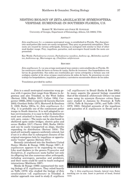 Nesting Biology of Zeta Argillaceum (Hymenoptera: Vespidae: Eumeninae) in Southern Florida, U.S
