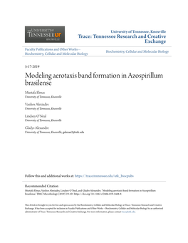 Modeling Aerotaxis Band Formation in Azospirillum Brasilense Mustafa Elmas University of Tennessee, Knoxville