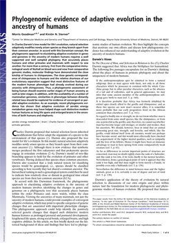 Phylogenomic Evidence of Adaptive Evolution in the Ancestry of Humans