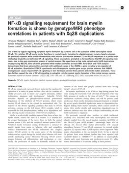 NF-Jb Signalling Requirement for Brain Myelin Formation Is Shown by Genotype/MRI Phenotype Correlations in Patients with Xq28 Duplications