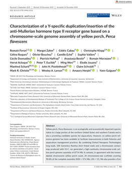 Characterization of a Y‐Specific Duplication/Insertion of the Anti