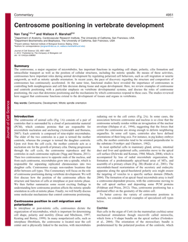 Centrosome Positioning in Vertebrate Development