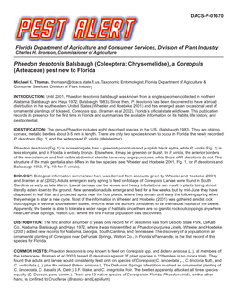 Phaedon Desotonis Balsbaugh (Coleoptera: Chrysomelidae), a Coreopsis (Asteaceae) Pest New to Florida