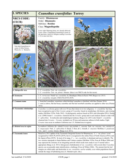 Ceanothus Crassifolius Torrey NRCS CODE: Family: Rhamnaceae (CECR) Order: Rhamnales Subclass: Rosidae Class: Magnoliopsida