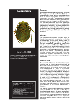 OCHTEROIDEA La Superfamilia Ochteroidea, Incluida En El Infraorden Nepomorpha, Comprende Las Familias Ochteridae Y Gelastocoridae