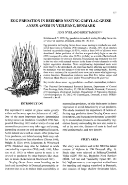 Egg Predation in Reedbed Nesting Greylag Geese Anser Anser in Vejlerne, Denmark