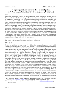 Morphology and Anatomy of Pollen Cones and Pollen in Podocarpus Gnidioides Carrière (Podocarpaceae, Coniferales)