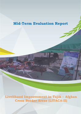 LITACA-II MTE Final Report.Pdf