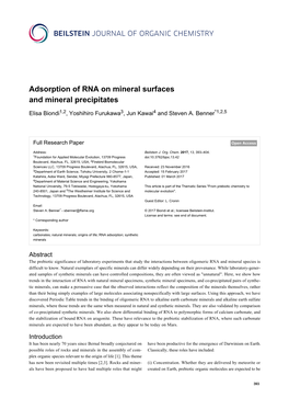Adsorption of RNA on Mineral Surfaces and Mineral Precipitates