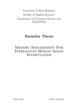 Bachelor Thesis Memory Management for Interactive Bitmap Image