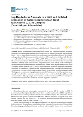 Pug-Headedness Anomaly in a Wild and Isolated Population of Native Mediterranean Trout Salmo Trutta L., 1758 Complex (Osteichthyes: Salmonidae)