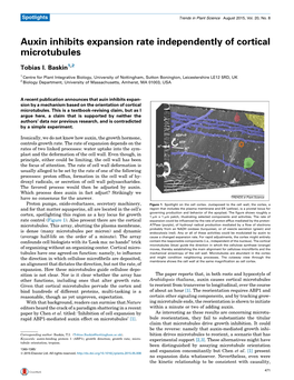 Auxin Inhibits Expansion Rate Independently of Cortical Microtubules