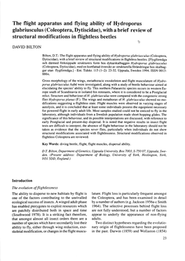 The Flight Apparatus and Flying Ability of Hydroporus Structural Modifications in Flightless Beetles