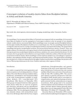 Convergent Evolution of Weakly Electric Fishes from Floodplain Habitats in Africa and South America