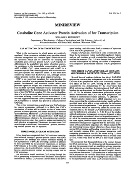 MINIREVIEW Catabolite Gene Activator Protein Activation of Lac Transcription WILLIAM S