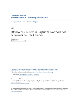 Effectiveness of Lure in Capturing Northern Bog Lemmings on Trail Cameras Keely Benson Kb239520@Umconnect.Umt.Edu