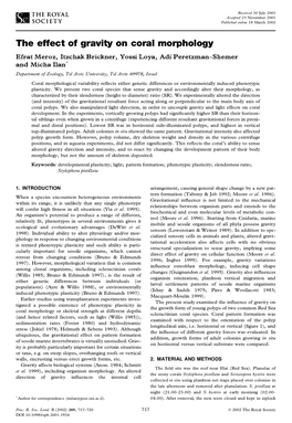 The Effect of Gravity on Coral Morphology