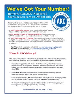 How to Get an AKC® Number So Your Dog Can Earn an Official Title