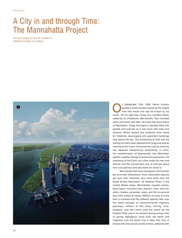 A City in and Through Time: the Mannahatta Project