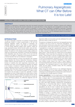 Pulmonary Aspergillosis: What CT Can Offer Before Radiology Section It Is Too Late!