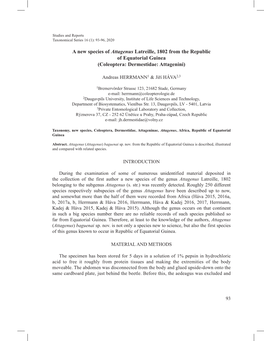 A New Species of Attagenus Latreille, 1802 from the Republic of Equatorial Guinea (Coleoptera: Dermestidae: Attagenini)