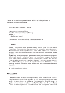 Review of Taxons from Genus Muscari Cultivated in Department of Ornamental Plants in Szczecin