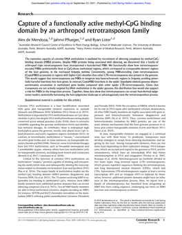 Capture of a Functionally Active Methyl-Cpg Binding Domain by an Arthropod Retrotransposon Family