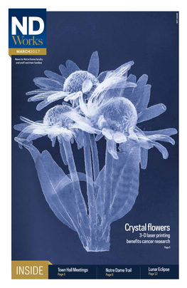 Crystal Flowers 3-D Laser Printing Benefits Cancer Research Page 5