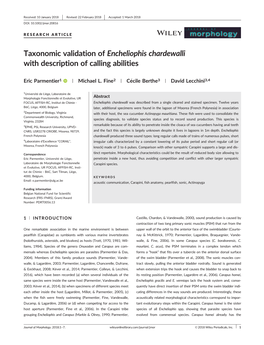 Taxonomic Validation of Encheliophis Chardewalli with Description of Calling Abilities