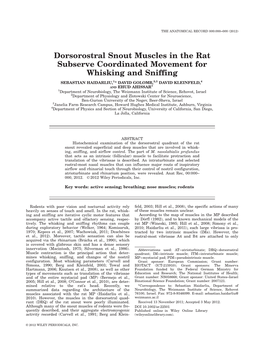 Dorsorostral Snout Muscles in the Rat Subserve Coordinated Movement for Whisking and Sniffing