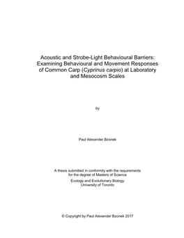 Acoustic and Strobe-Light Behavioural Barriers: Examining Behavioural and Movement Responses of Common Carp (Cyprinus Carpio) at Laboratory and Mesocosm Scales