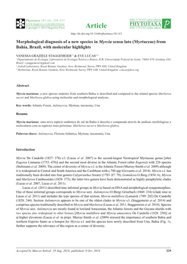 (Myrtaceae) from Bahia, Brazil, with Molecular Highlights