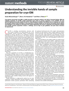 Understanding the Invisible Hands of Sample Preparation for Cryo-EM